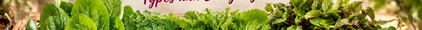 A Guide to South Indian Keerai (Greens): Types and Everyday Uses
