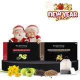 Pack of 2 Wellness Sachets (Amla & Senna Flower)