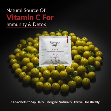 Amla Wellness Sachets (14-Day Pack) | Natural Vitamin C | Immune Boost | Indian Gooseberry Drink
