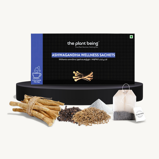 Ashwagandha Wellness Sachets (14-Day Pack) | Natural Stress and Sleep Support | Calming Daily Drink