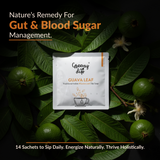 Guava Leaf Wellness Sachets (14-Day Pack) | Healthy Digestion | Blood Sugar Management