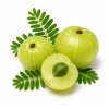 Amla (Indian Gooseberry)