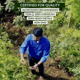 Pack of 3 Wellness Sachets (Moringa, Amla, Ashwagandha)